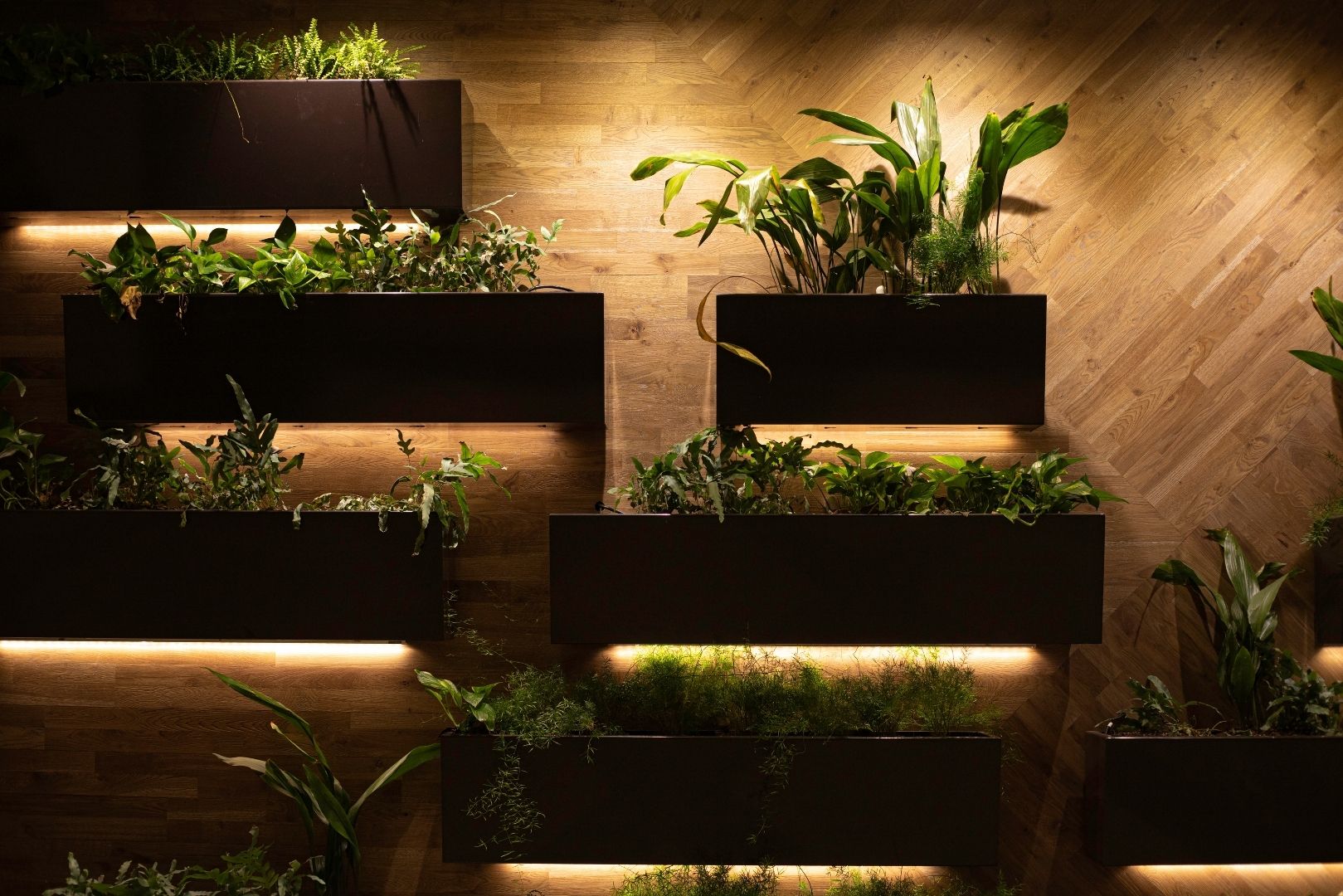 メインスライド