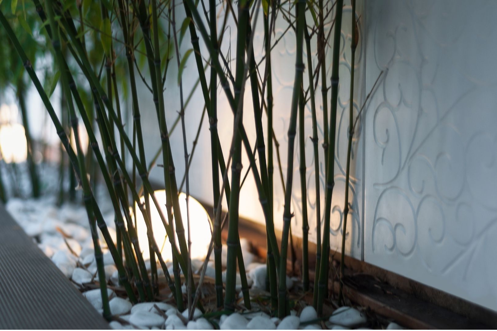 メインスライド